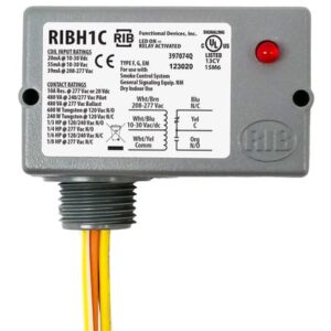 RIBH1C