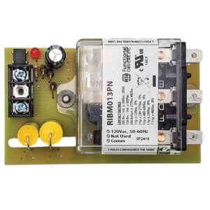 RIBM013PN