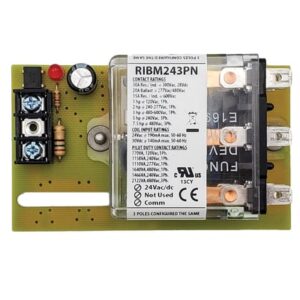 RIBM243PN