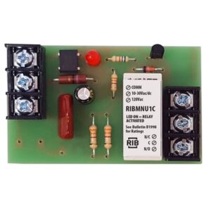 RIBMNU1C