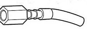 BCGA2