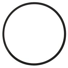 Bell & Gossett Gasket